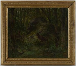Cerfs Dans La Foret