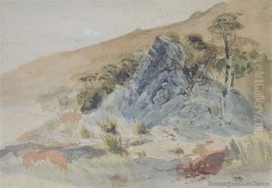 Rocks, Dun Mountain by John Gully