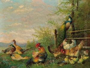 Birds On The Yard. Duck, Cock,hens