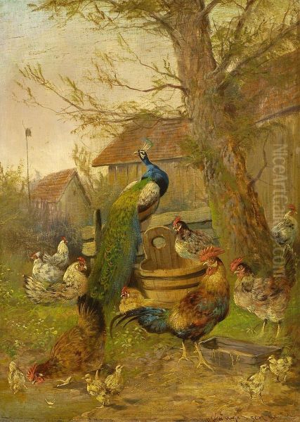Huhner Und Pfau - view 1