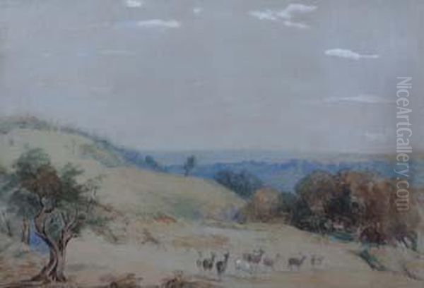Deer At Richmond Park - view 1