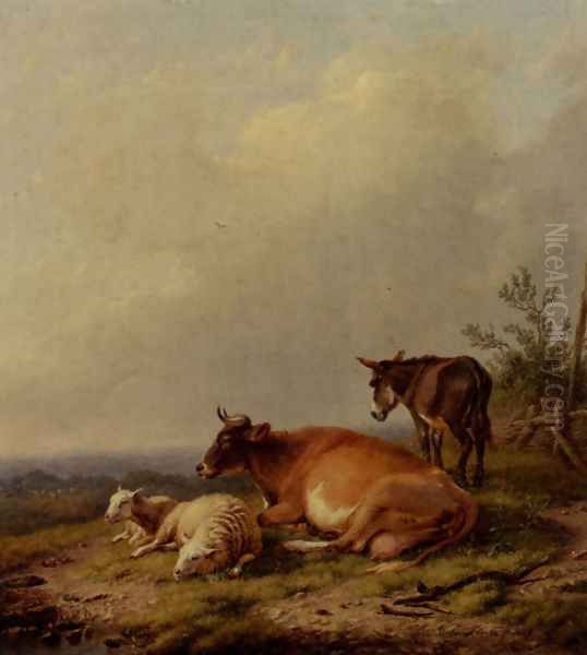 A Cow, A Sheep And A Donkey - view 1