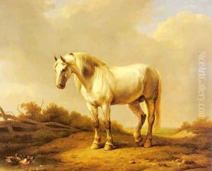 A White Stallion In A Landscape