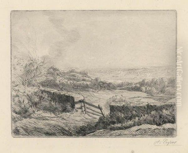 Chercheurs Du Tresor - view 1