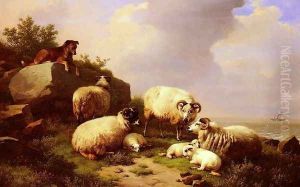 Guarding The Flock By The Coast