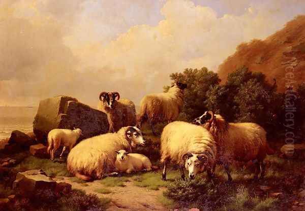 Sheep Grazing By The Coast - view 1