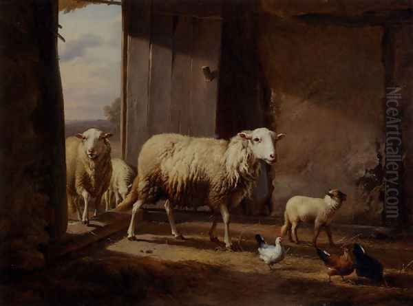 Sheep Returning From Pasture - view 1