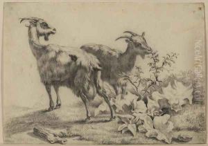 Two Goats by Eugene Verboeckhoven