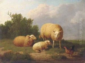 Sheep in a meadow by Eugene Verboeckhoven