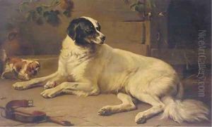 A Newfoundland with his bone