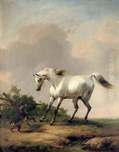 A white horse startled by a dog