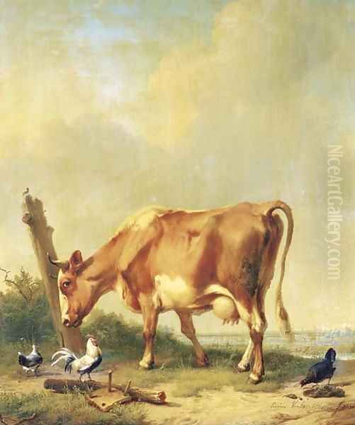 La vache rouge et blanche se frottant la tete contre un morceau de bois - view 1