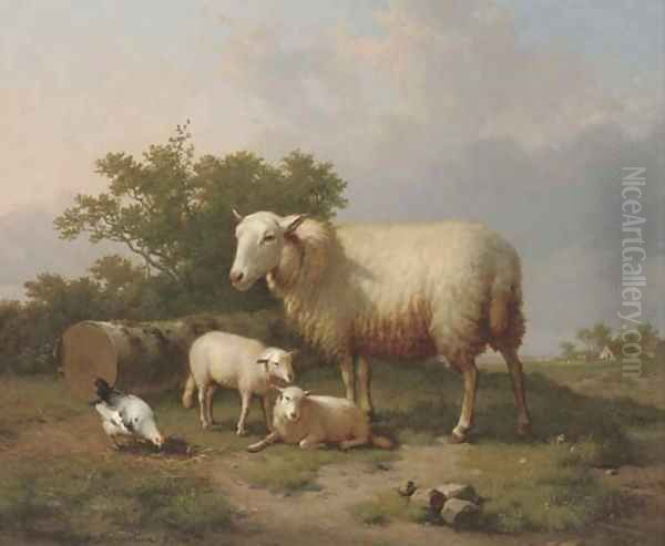 Sheep in a rural landscape - view 1