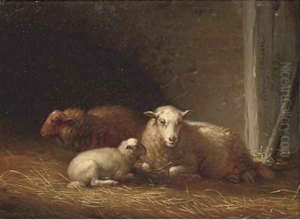 Sheep in a barn - view 1