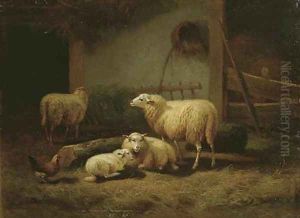 Moutons dans une etable by Eugene Verboeckhoven