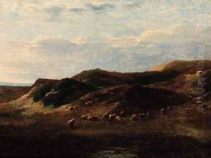 Sheep in a dune landscape