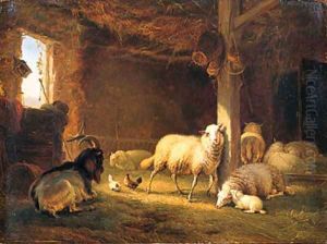 Sheep, Chicken and a Goat in a Barn