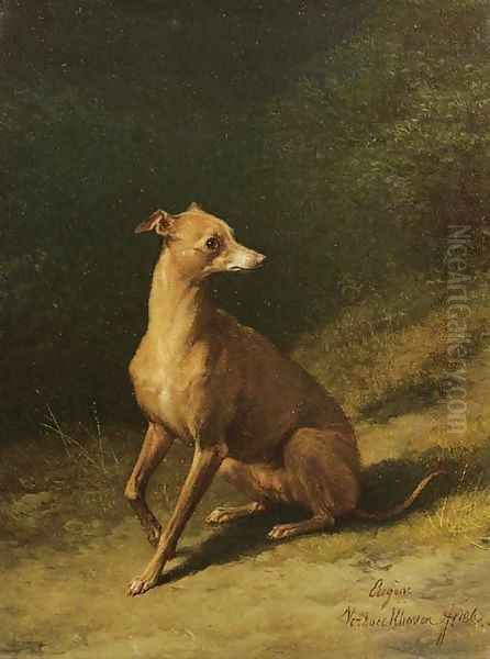 Portrait of a whippet - view 1