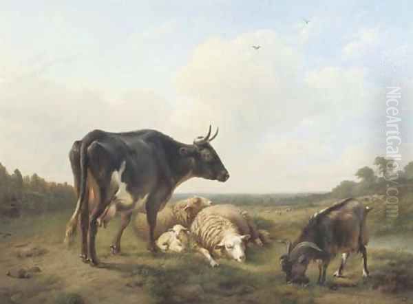 Cattle in a meadow - view 1