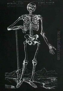 Human Skeleton 2 by Andreas Vesalius