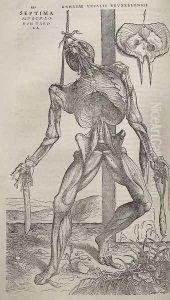 Dissected human body 1543 by Andreas Vesalius
