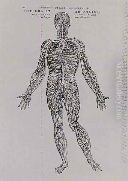 Veins and Arteries system - view 1