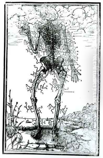 Vascular System of the Body - view 1