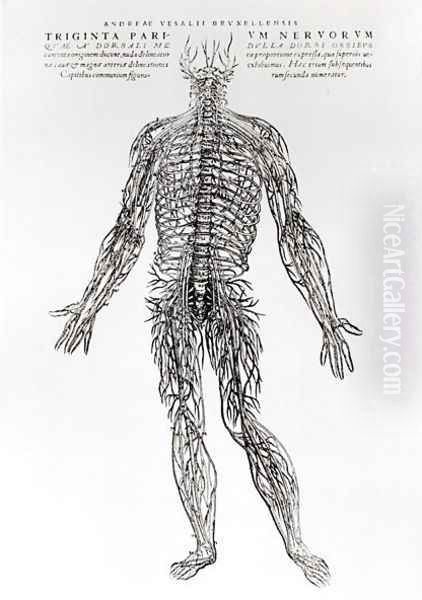 Nervous System - view 1