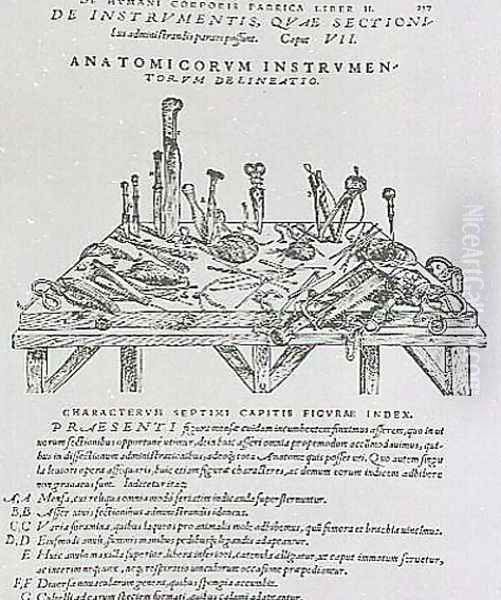 Instruments for Dissections - view 1
