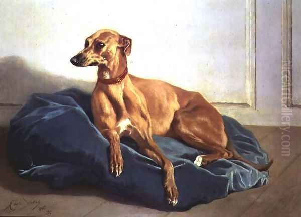 Study of a Hound, 1860 - view 1