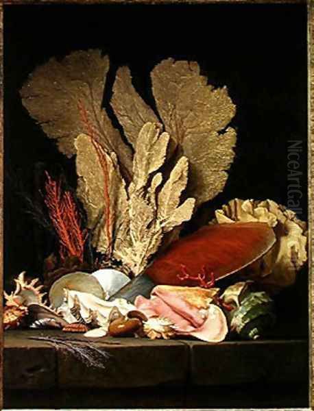 Seaweed, Lithophytes and Seashells - view 1