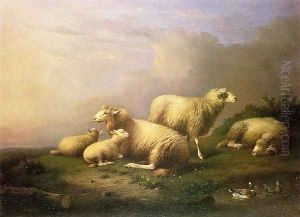 A Flock of Sheep Resting by a Pond