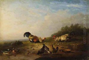 Chickens and Duck by a Pool of Water