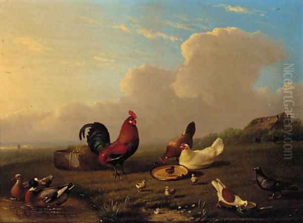 Chickens, ducks and pigeons in a landscape - view 1