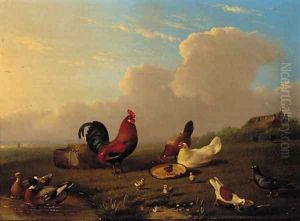 Chickens, ducks and pigeons in a landscape