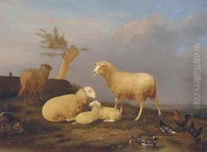 Sheep and poultry at the pond