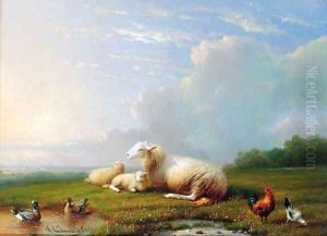Sheep grazing with chickens and ducks