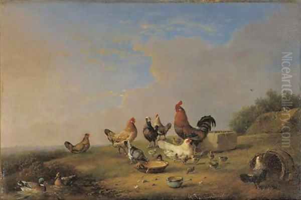 Poultry by a stream - view 1