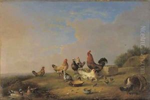 Poultry by a stream