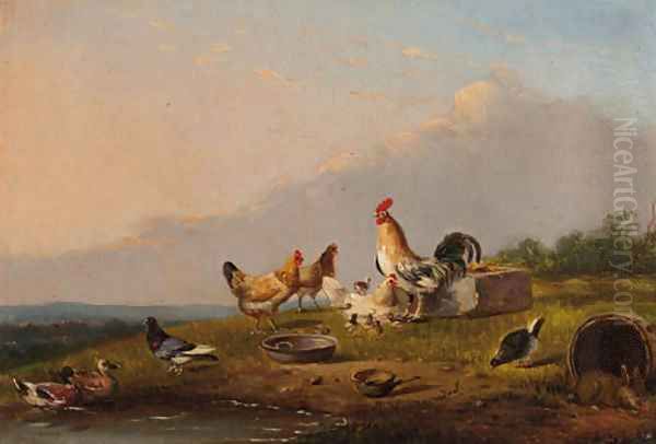 Poultry in a meadow - view 1