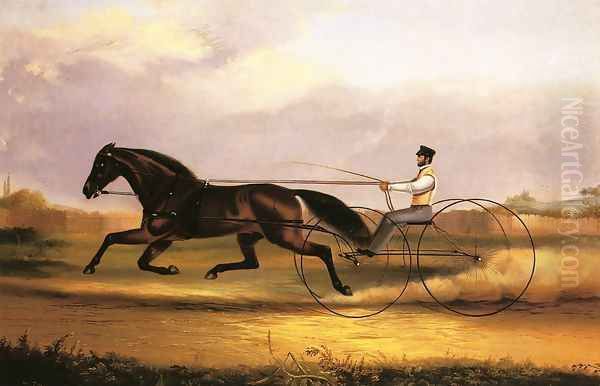A Fast Trotter - view 1