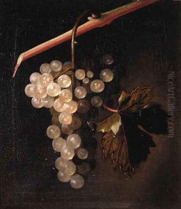 A trompe l'oeil a bunch of grapes hanging before a stone wall
