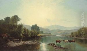 Cattle Watering In A Summer Landscape Cattle Watering In A Summer Landscape