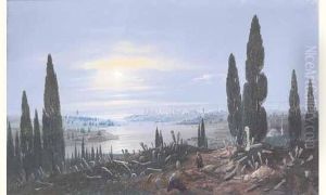 Vue Panoramique Du Bosphore Et Istambul. by Carlo Bossoli