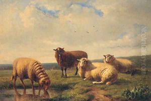 Sheep resting in a Meadow by Louis Pierre Verwee