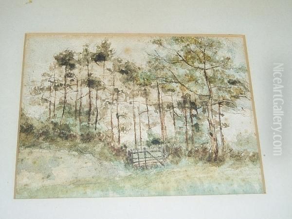 The Gate To The Wood - view 1
