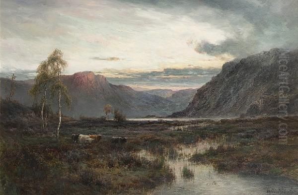 The Moors Of Argyll - view 1