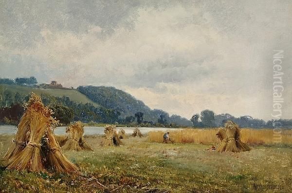 Harvest Time, Quarry Wood````````s From Little Marlow - view 1
