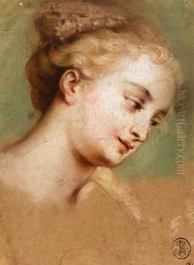 Study for the Head of Campaspe by Nicolas Vleughels