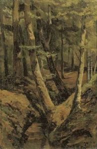 The forest stream by Jan Willem Van Borselen